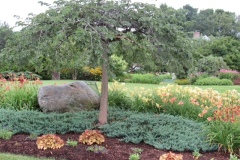 30263856_Unknown