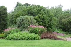 30263872_Unknown