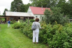 30264576_Unknown