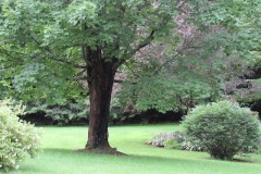 30265184_Unknown